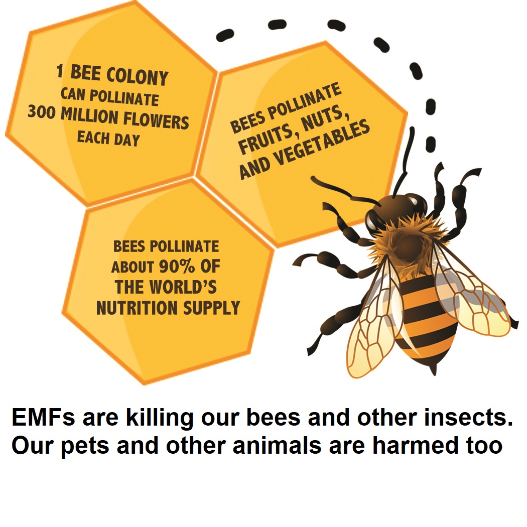 Bees pollinate about 90% of the world's nutrition supply — EMFs are killing our bees and other insects, and our pets and other animals are harmed too.