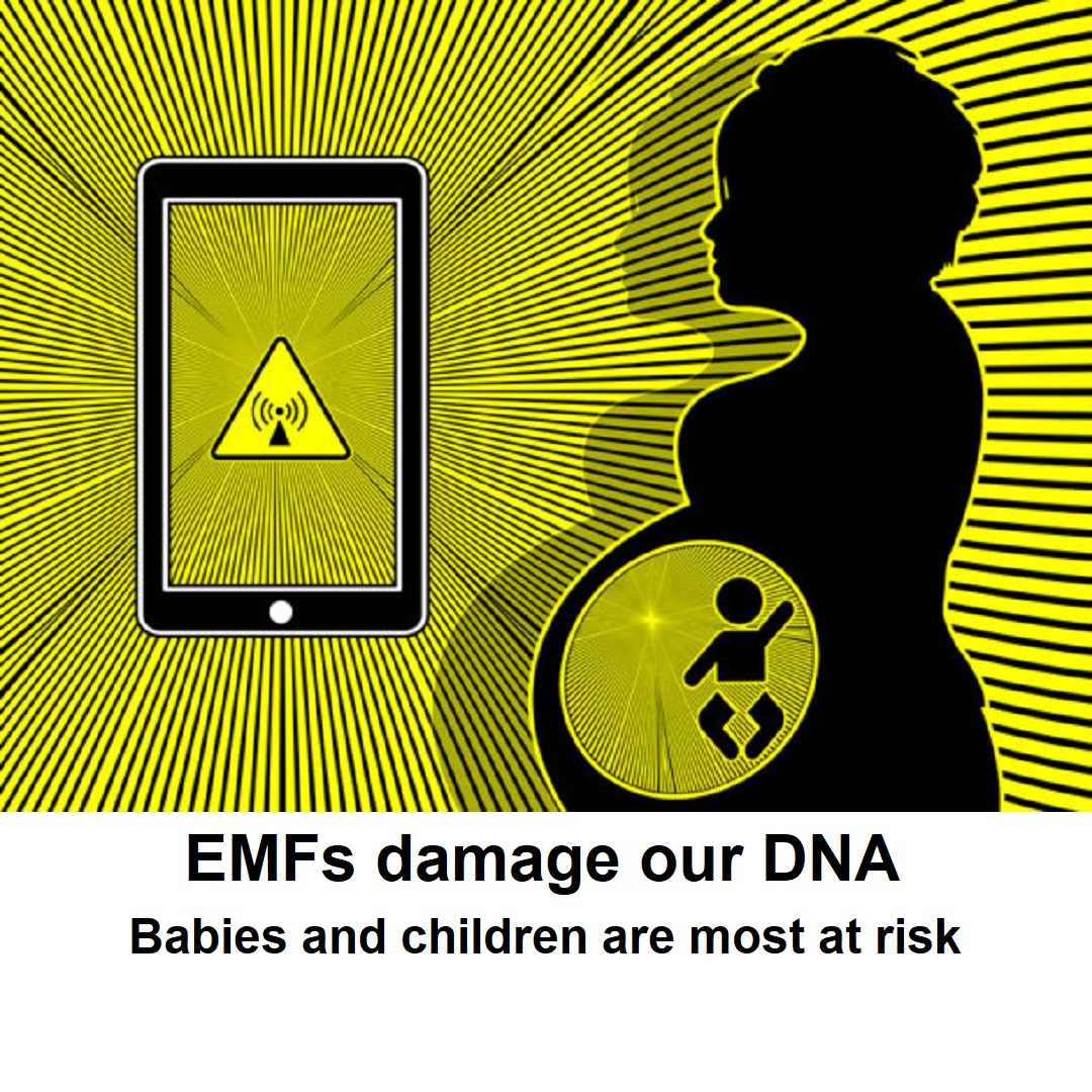 EMFs damage our DNA — babies and children are most at risk.